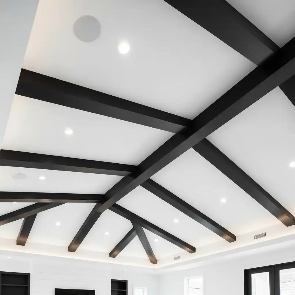 Sleek Black Statement