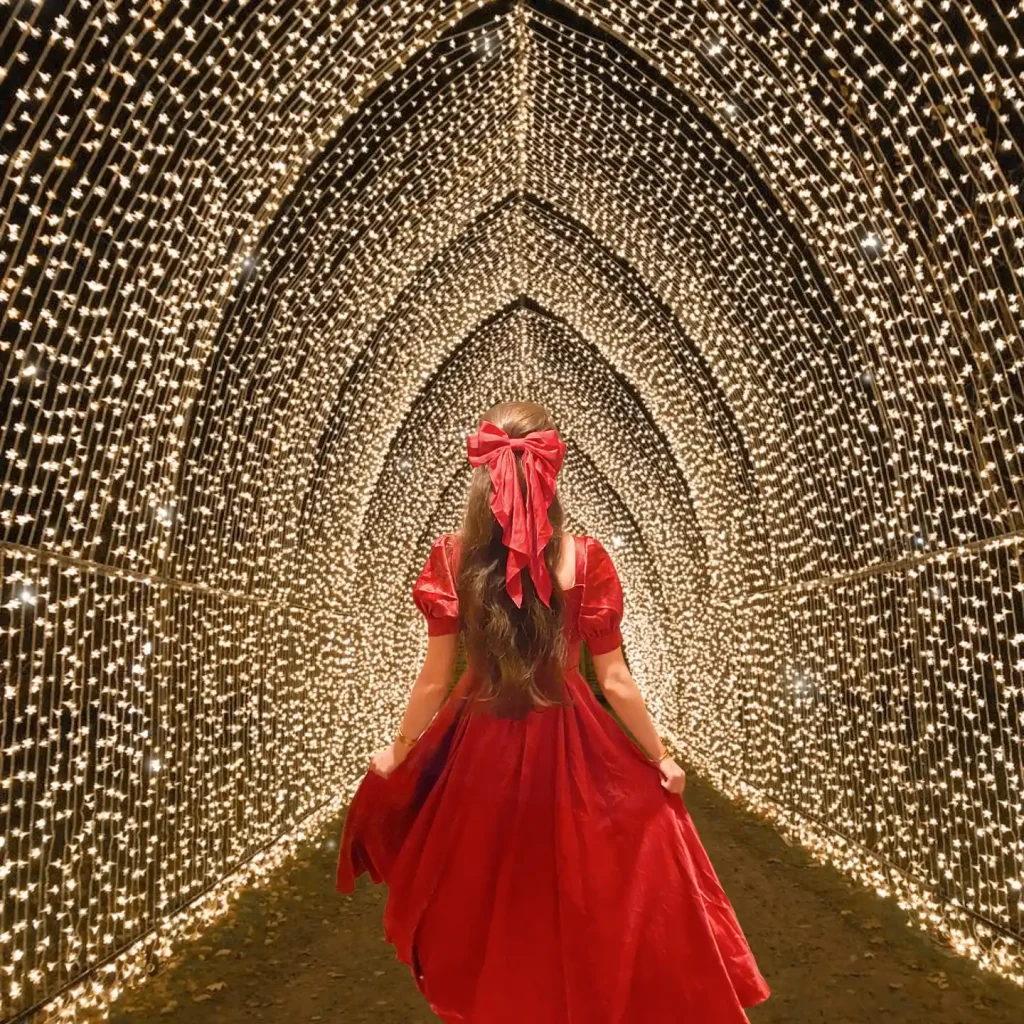 Luminarias for Walkways