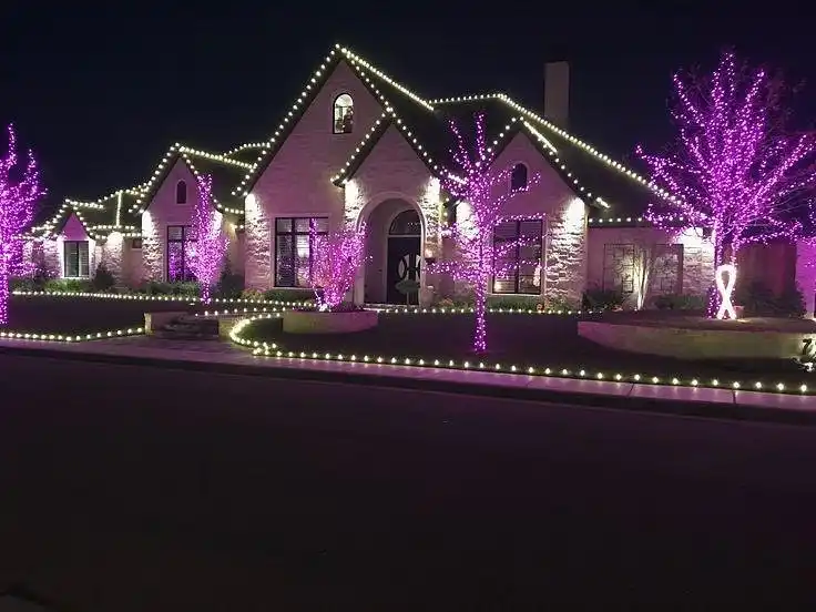 Christmas Lights Exterior House Monochromatic Theme