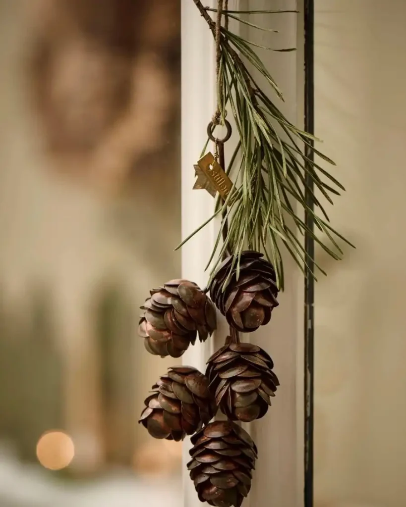 Pinecones