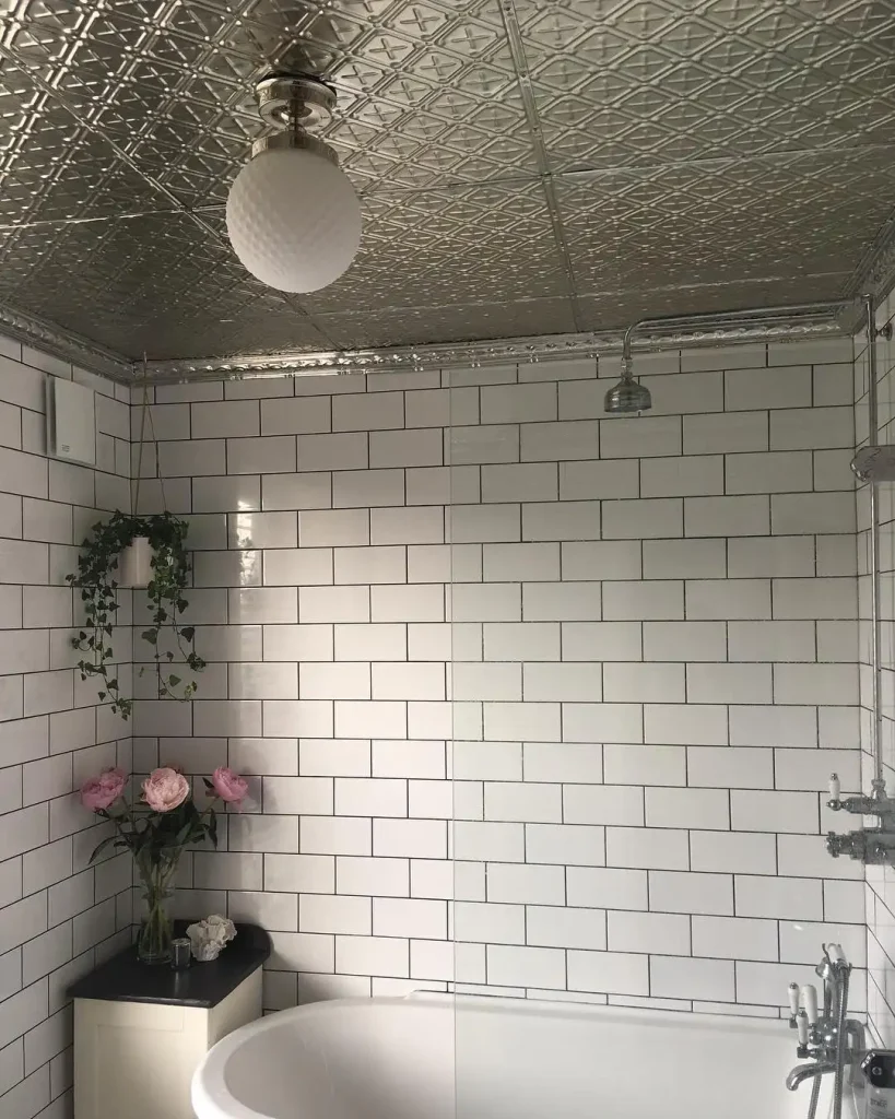 bathroom Living Rooms