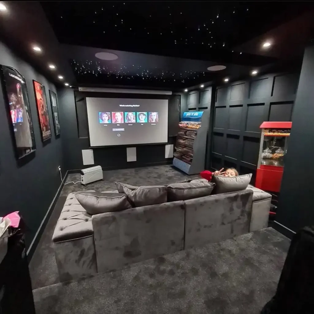 Home Theater and Movie Room
