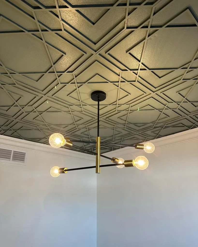 Accent Ceiling Bold and Dark Hues