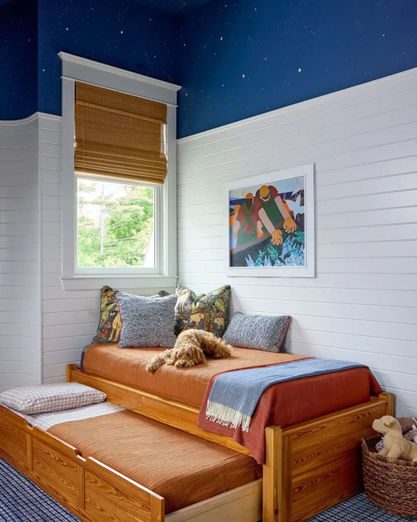 Ceiling Wallpaper Starry Night Skies