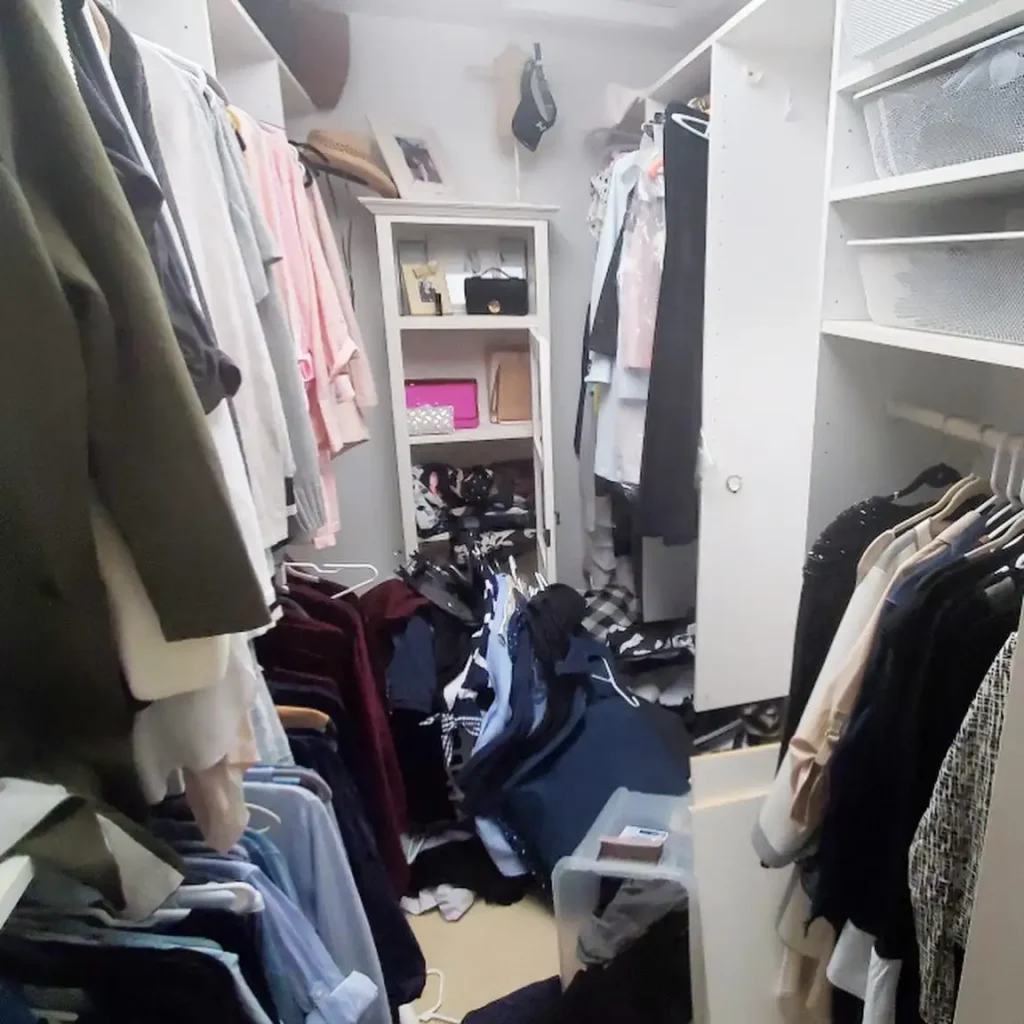 basement walk in closet Wall Treatments