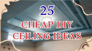 cheap DIY Ceiling Ideas