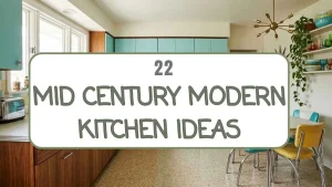 Mid Century Modern kitchen