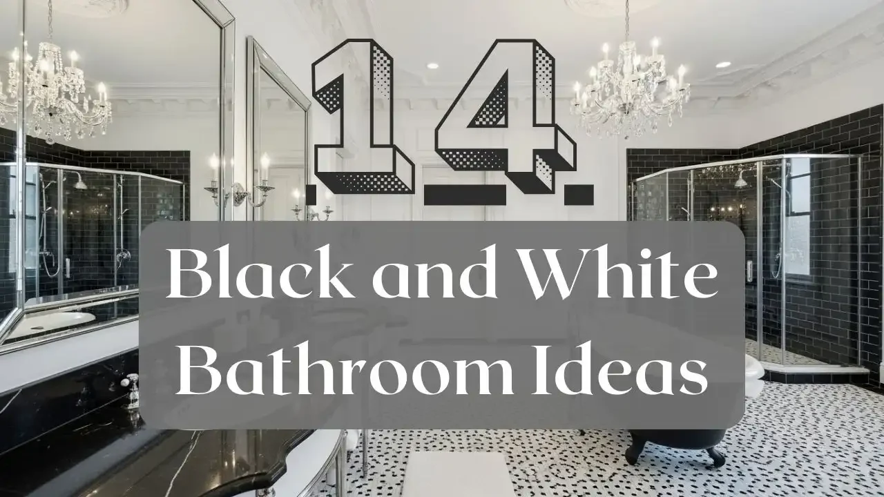 black and white bathroom ideas